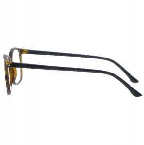 Plastic Reading Glasses